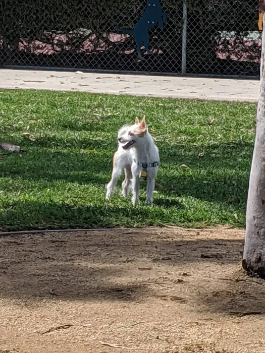 Bark Park 5