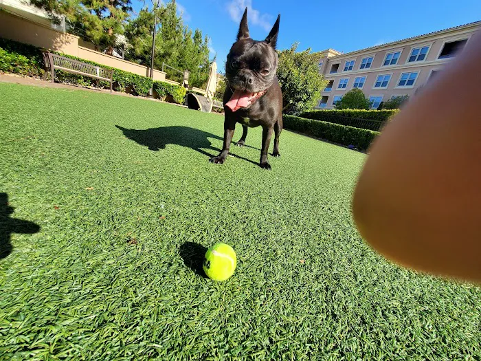 Villas Fashion Island Dog Park 3