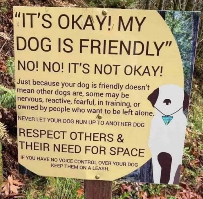 Villas Fashion Island Dog Park 1