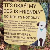 Villas Fashion Island Dog Park ico