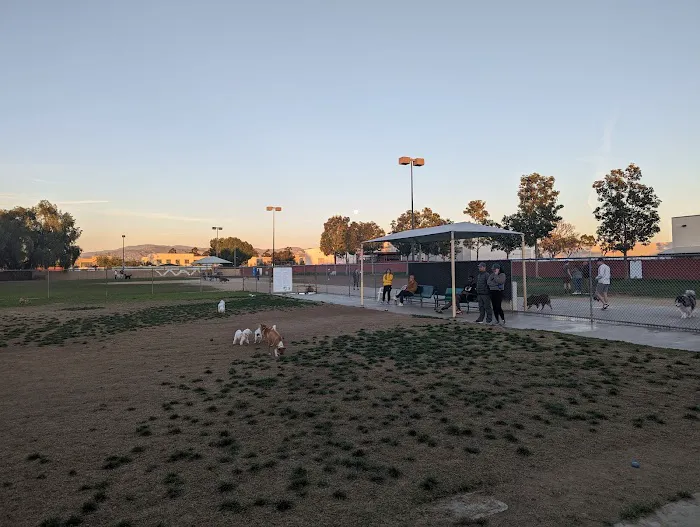 Irvine Central Bark 2