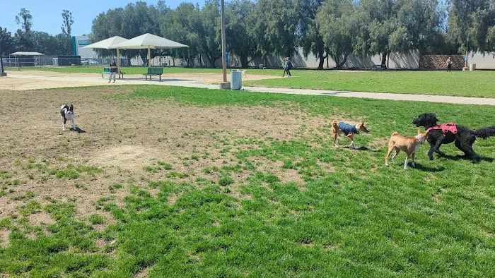 Irvine Central Bark 8