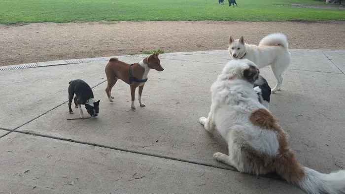 Irvine Central Bark 4
