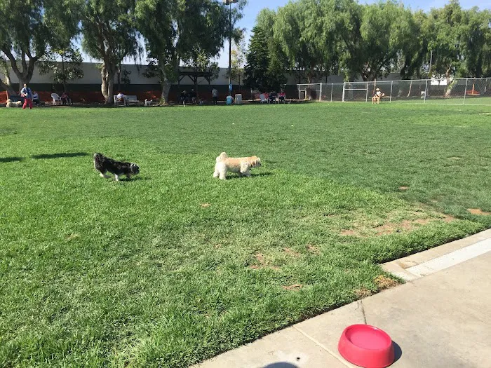 Irvine Central Bark 10