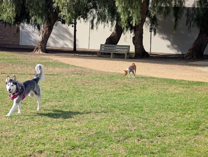 Irvine Central Bark 9