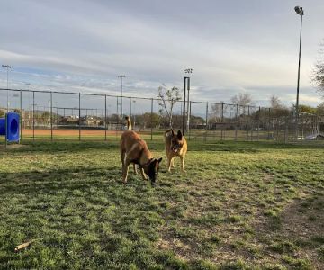 Harada Dog Park