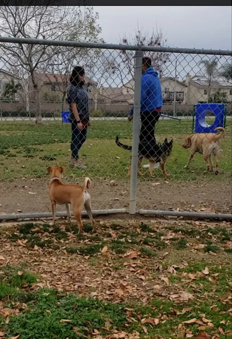 Harada Dog Park 10