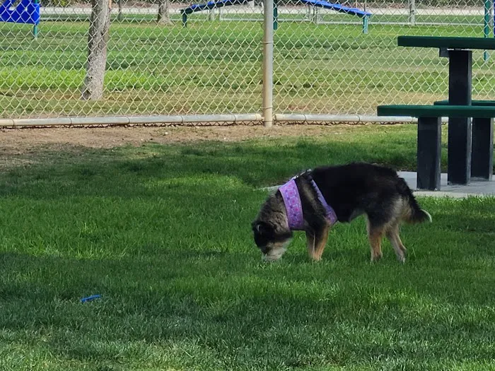 Harada Dog Park 2