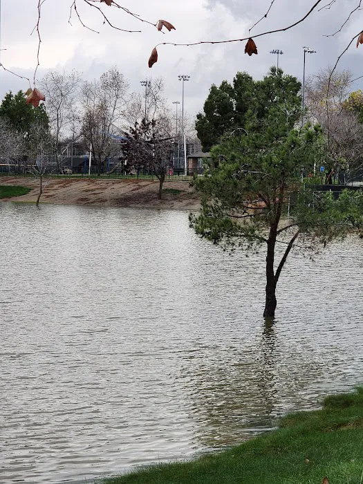 Harada Dog Park 6