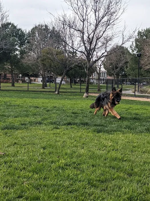 Dairyland Dog Park 8