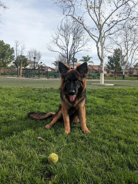 Dairyland Dog Park 9