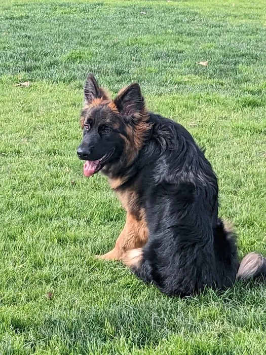 Dairyland Dog Park 7