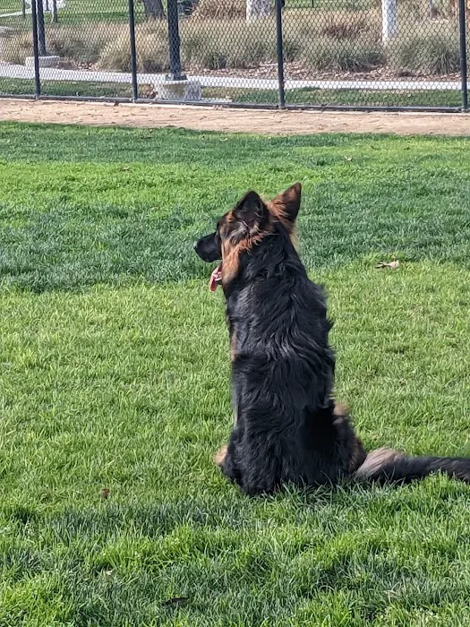 Dairyland Dog Park 5