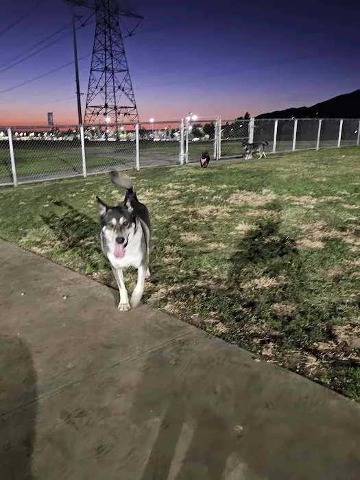 Fontana Dog Park 8