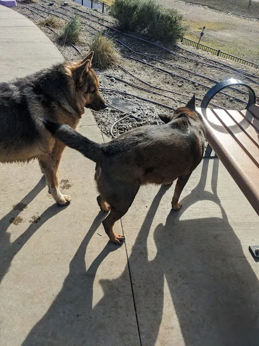 Gabion Ranch Dog Park 5