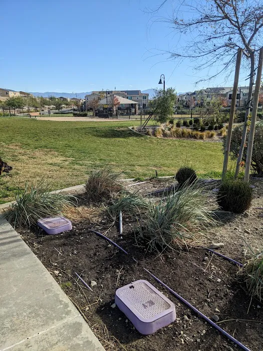 Gabion Ranch Dog Park 4