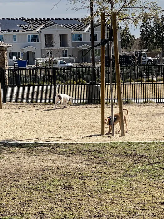Gabion Ranch Dog Park 10