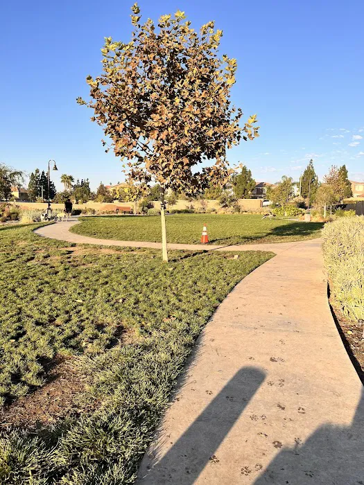 Gabion Ranch Dog Park 7