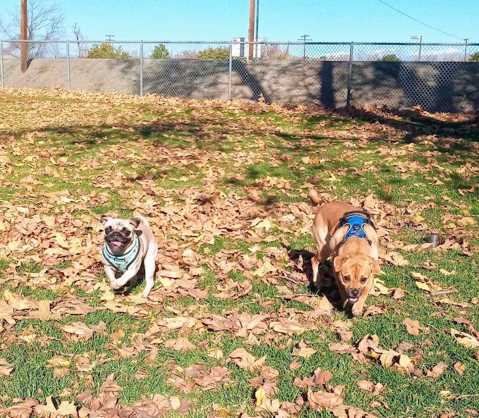 Corona Dog Park 10