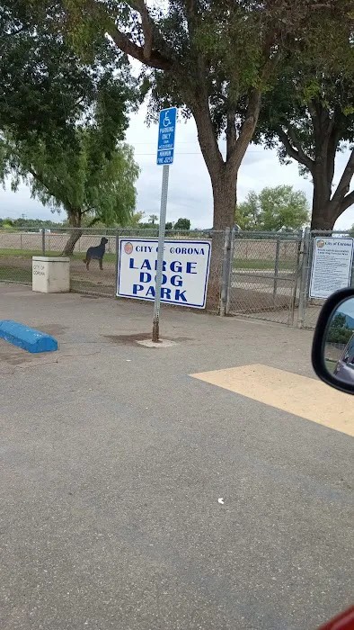 Corona Dog Park 8