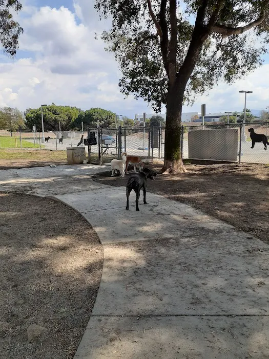 Corona Dog Park 6