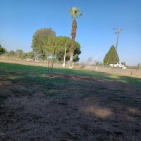 Corona Dog Park ico