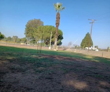 Corona Dog Park