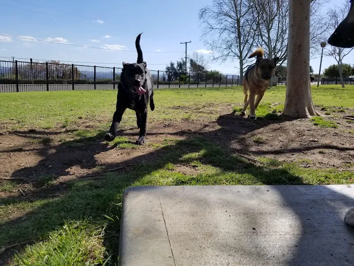 Pat Merritt Dog Park 1