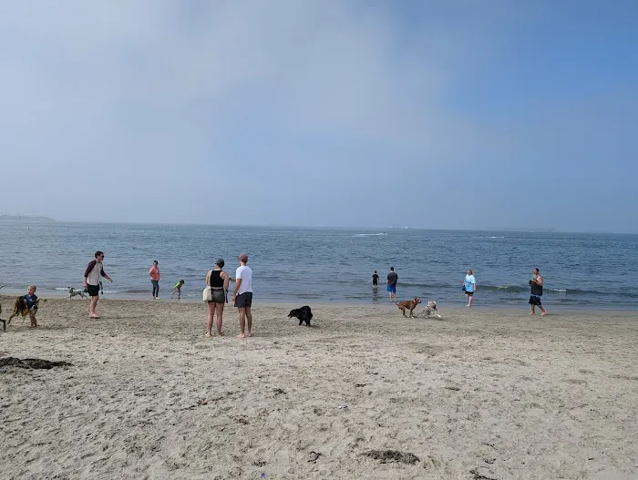 Pat Merritt Dog Park 9