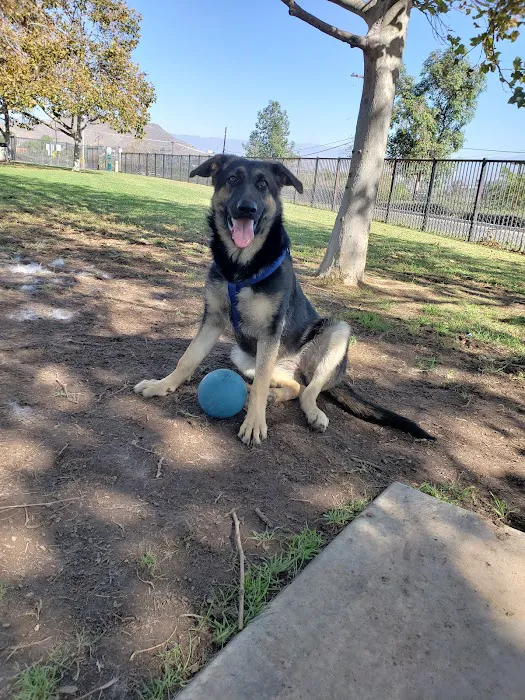 Pat Merritt Dog Park 8