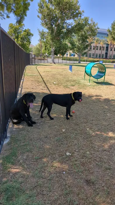 La Sierra Dog Park 10