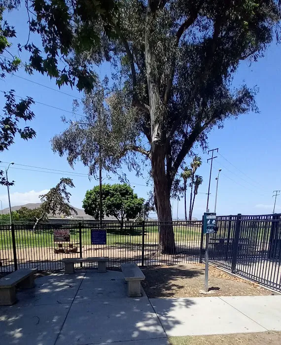 Carlson Park 8