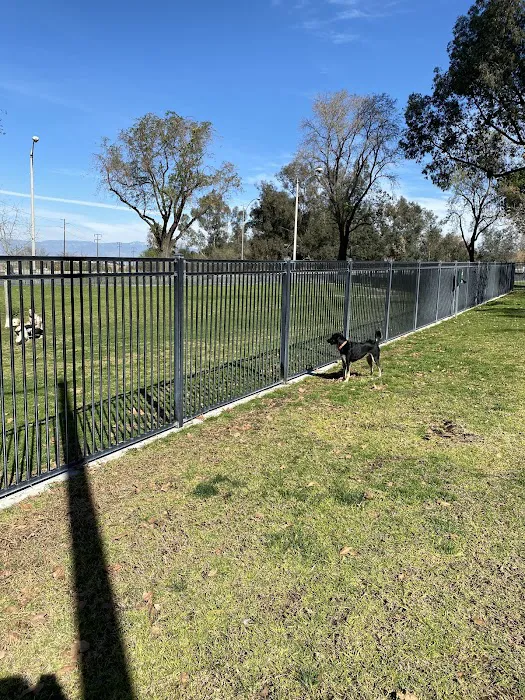 Carlson Park 9