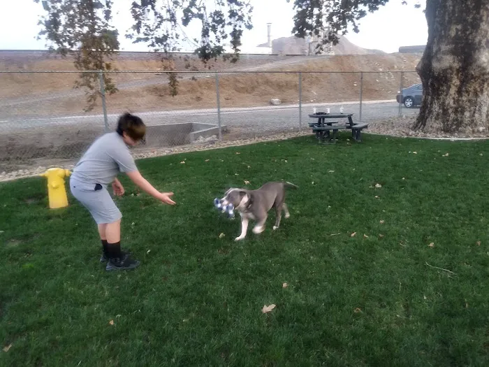 Colton K9 Memorial Dog Park 5