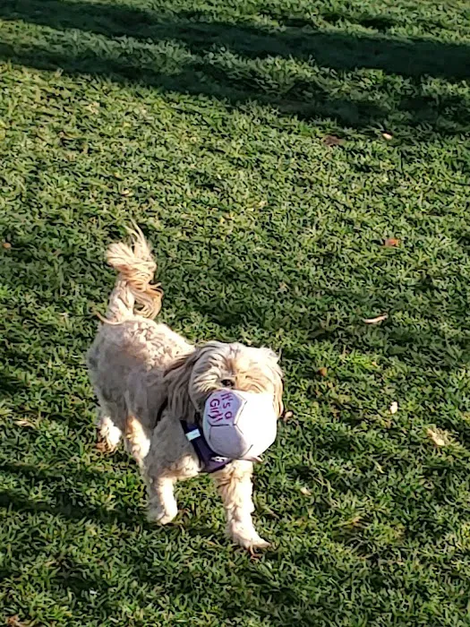 Colton K9 Memorial Dog Park 7