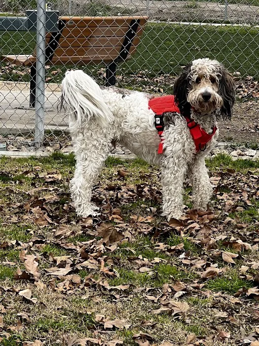 Colton K9 Memorial Dog Park 4