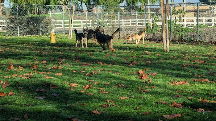 Colton K9 Memorial Dog Park 3