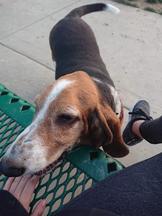 Riverwalk Dog Park 8
