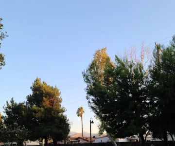 Riverwalk Dog Park