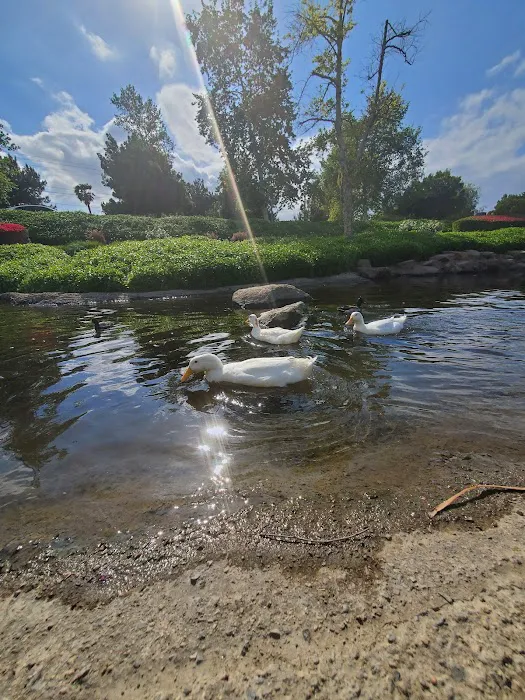 Riverwalk Dog Park 10