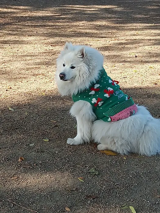 Riverwalk Dog Park 5