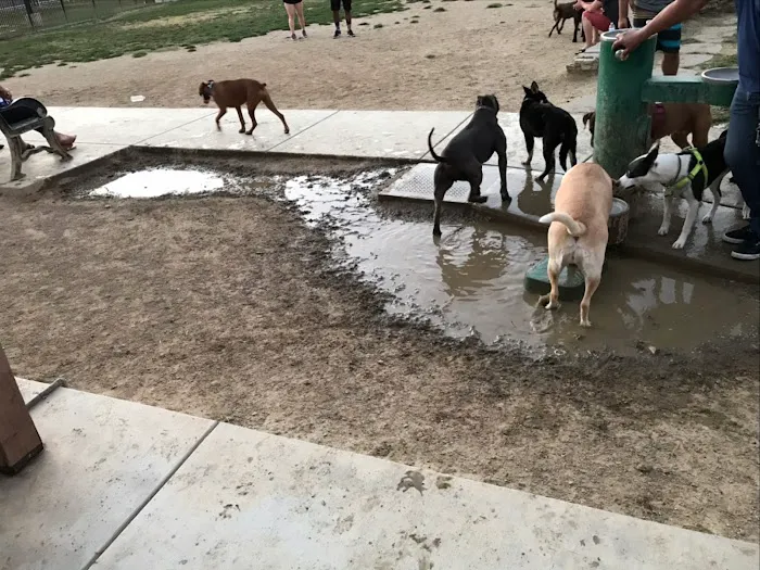 Riverwalk Dog Park 6