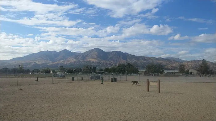 Fillmore Dog Park 3