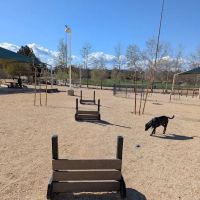 Central Bark Park ico