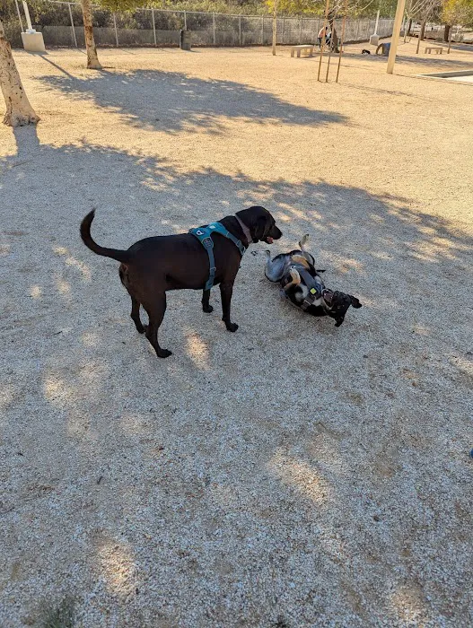 Central Bark Park 7