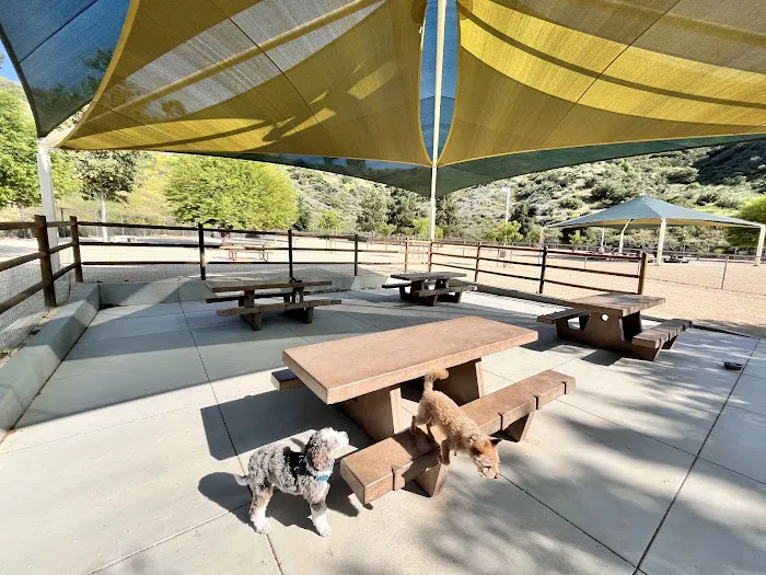 Central Bark Park 10
