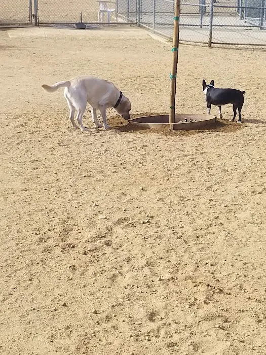 Canine Country Dog Park 4