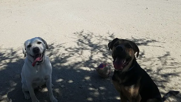 Canine Country Dog Park 5