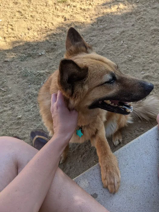 Canine Country Dog Park 2