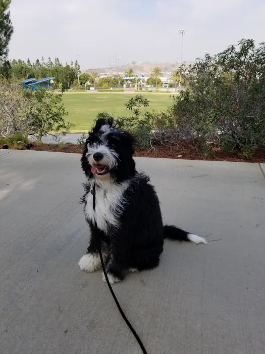 Canine Country Dog Park 8